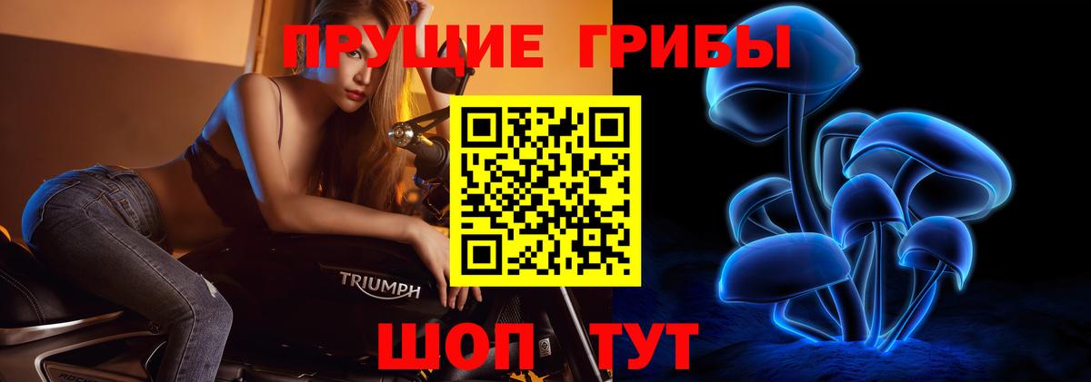 Псилоцибиновые грибы ЛСД  Галлюциногенные грибы прущие грибы  Вход с VPN  Ноябрьск 